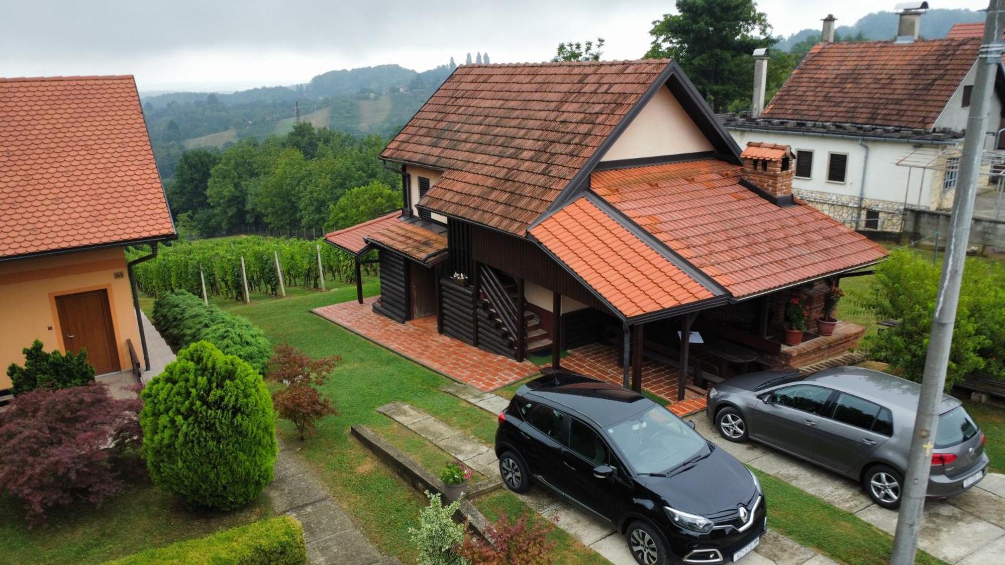 Vila Pajo Вараждинське-Топлице Екстер'єр фото