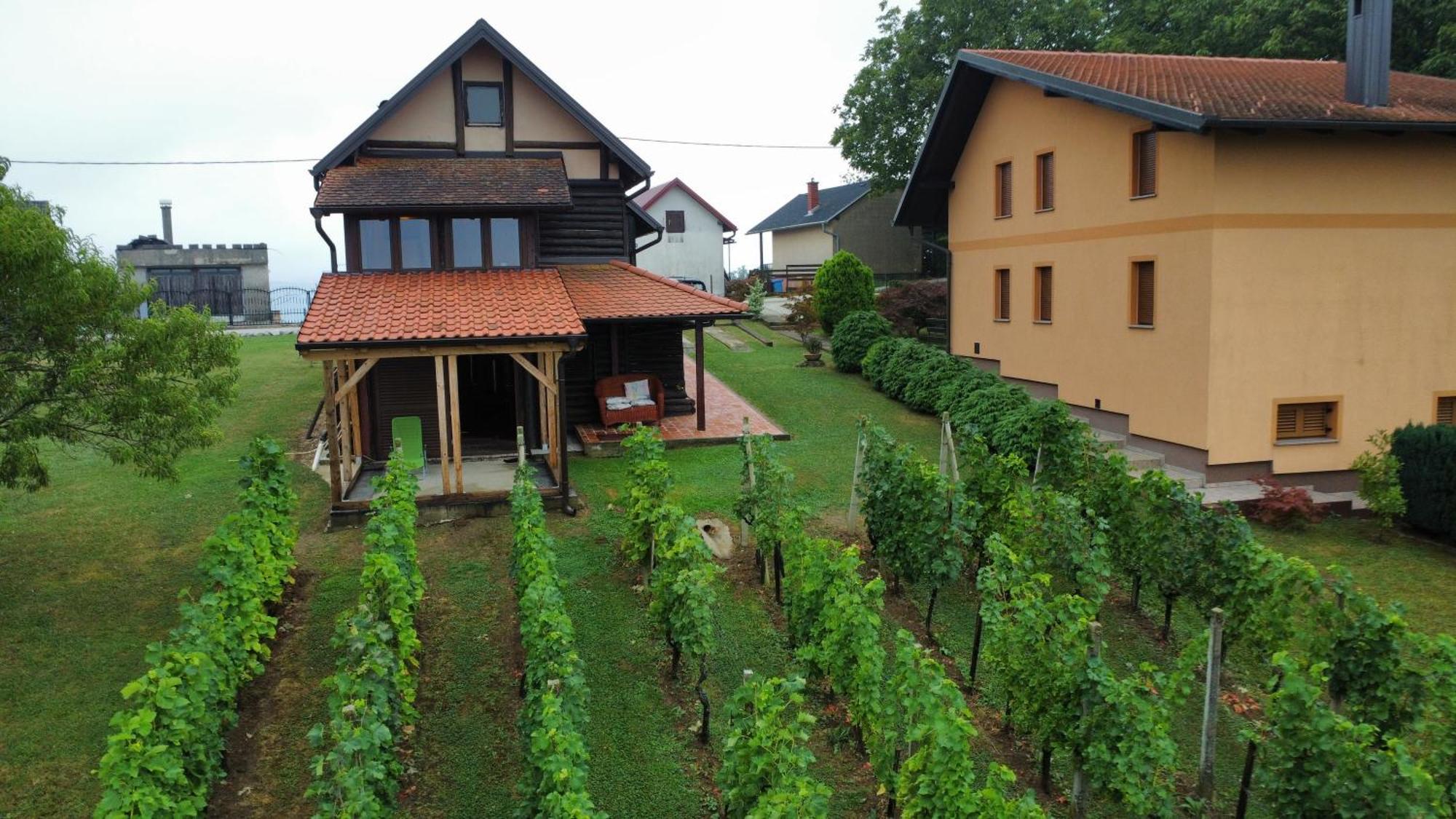 Vila Pajo Вараждинське-Топлице Екстер'єр фото